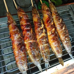 ปลาดุกย่าง