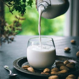 Ice milk