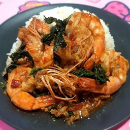 ข้าวราดกะเพรากุ้ง