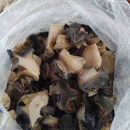 เพิ่มหอยนา