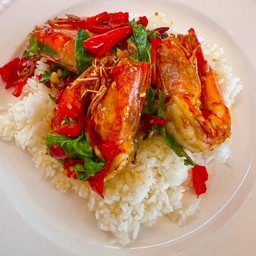 ข้าวกะเพรากุ้ง