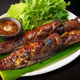 ปลาดุกย่าง 1 ตัว