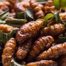 restaurantPhoto