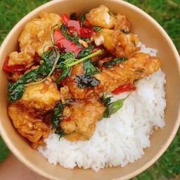 ข้าวกะเพราไก่ทอด