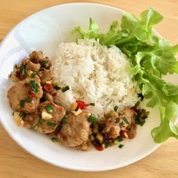 ข้าวราดผัดพริกเกลือ