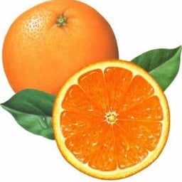 MENU_2861483Rr_1725607553