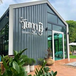 วันทามิ คาเฟ่