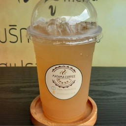 ชาเขียวใสน้ำผึ้งมะนาว