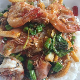 ผัดกระเพากุ้ง