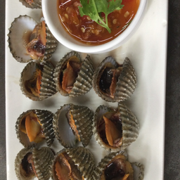 หอยแครง