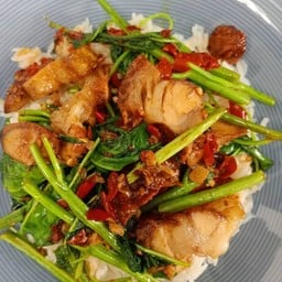 ตามสั่ง หมูทอด แฟลตนายสิบ ต้นขาม