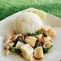 ข้าวกะเพราหมึก