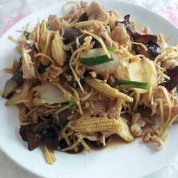 ผัดขิงไก่