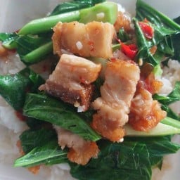 คะน้าหมูกรอบราดข้าว