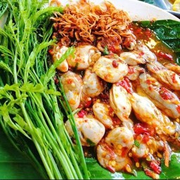 ยำหอยนางลม ชุดใหญ่