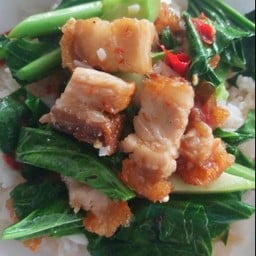 คะน้าหมูกรอบ(กับข้าว)