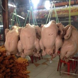 ไก่ตัวครบชุด