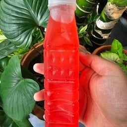 น้ำพั๊นซ์