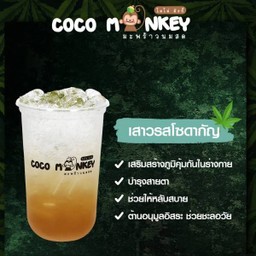 Coco Monkey (โคโค่ มังกี้) ปตท.