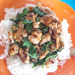 กระเพราหมูชิ้น