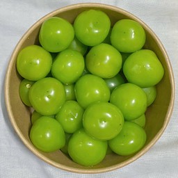 องุ่นไซมัสคัส