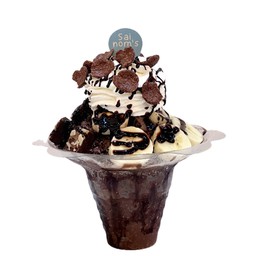 บิงซูทูโก ช็อคโก้ Bingsu To Go Choco