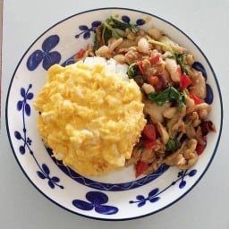 กระเพรา ครัว  lemon JAP