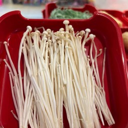 เห็ดเข็มทอง