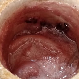 ข้าวเหนียวดำมะพร้าวอ่อน