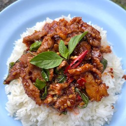 ผัดพริกเผาใบโหรพา