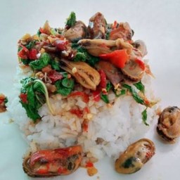 กระเพราหอยแมลงภู่(ราดข้าว)