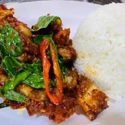 กระเพาพริกแห้ง##เขยเมืองแพร่ ## เหนียว หมู ปิ้ง แพร่รีส