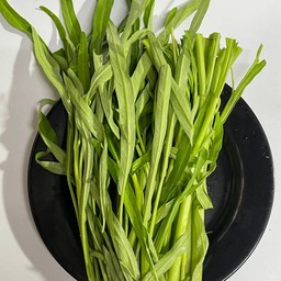 ผักบุ้ง