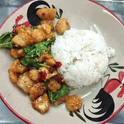 Stir Fried Basil With Pork Cracklings On Rice