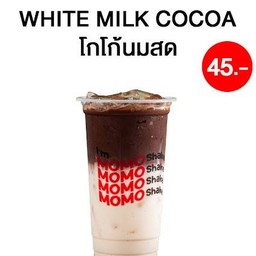 โกโก้นมสด