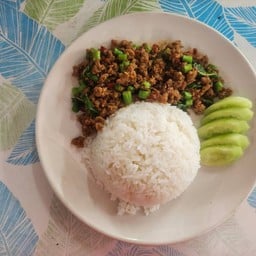กระเพราเนื้อราดข้าว