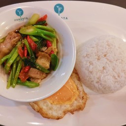 ข้าวคะน้าหมูกรอบ + ไข่ดาว