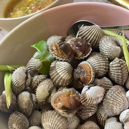 หอยแครงกลางลวกจิ้ม