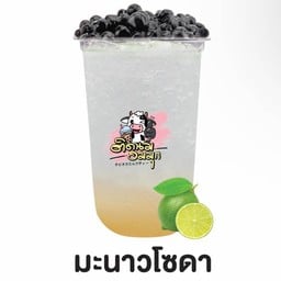 ติดนม อมมุก หน้า สบวสระบุรี