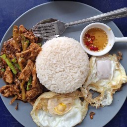 อาหารตามสั่ง##กระเพาพริกแห้ง ##เขยเมืองแพร่ แพร่