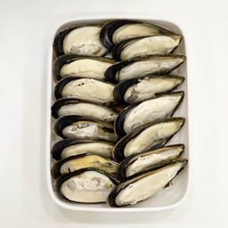 หอยแมลงภู่ชิลี