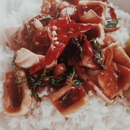 กะเพราปลาหมึกสด