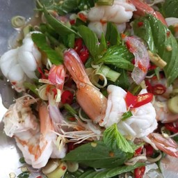พล่ากุ้งสุก-กุ้งสด (กับข้าว)