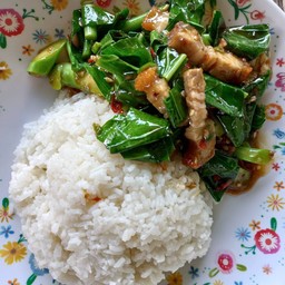 ผัดคะน้า