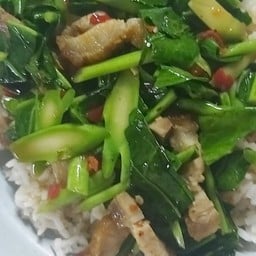 คะน้าหมูราดข้าว