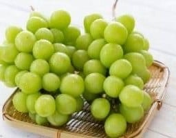 Fruits box 88