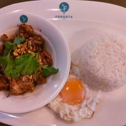 ข้าวหมูกระเทียมพริกไทย + ไข่ดาว