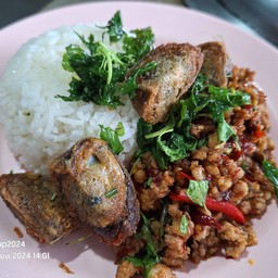 ข้าวราดกะเพรากรอบไข่เยี่ยวม้าหมูสับ