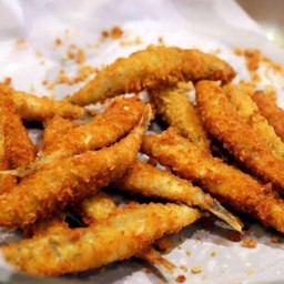 (Special) ปลาไข่ 20 ตัว