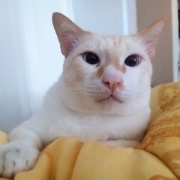 หนูมะลิเอง..